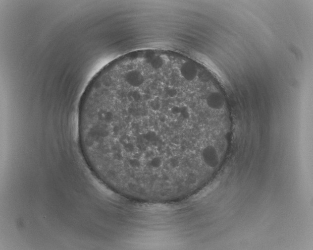 X0000115321079200911231345