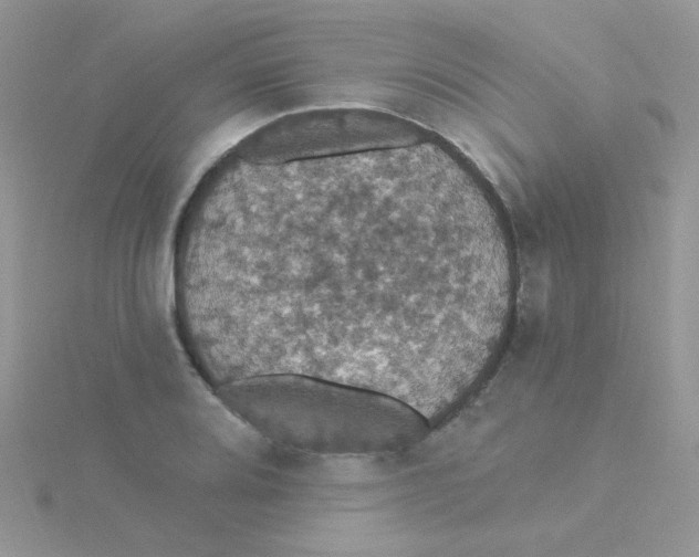 X0000115321080200911231345