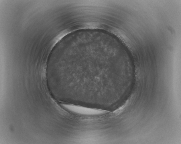 X0000115321081200911231345