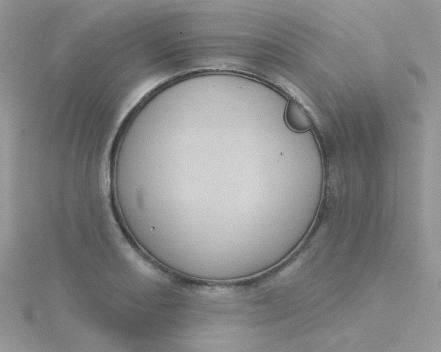 X0000115321082200911231345