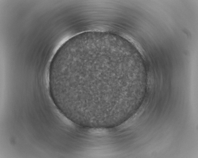 X0000115321083200911231345