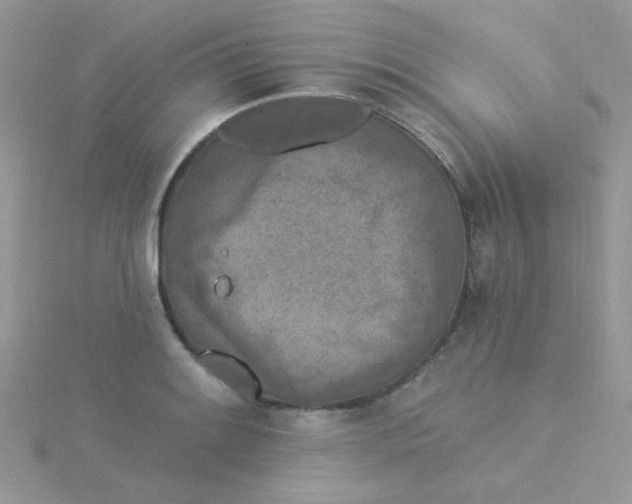 X0000115321084200911231345