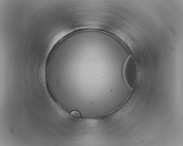 X0000115321085200911231345