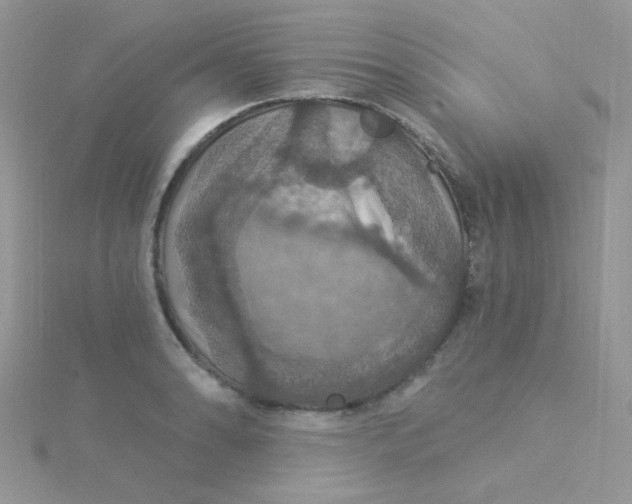 X0000115321086200911231345