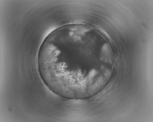 X0000115321087200911231345