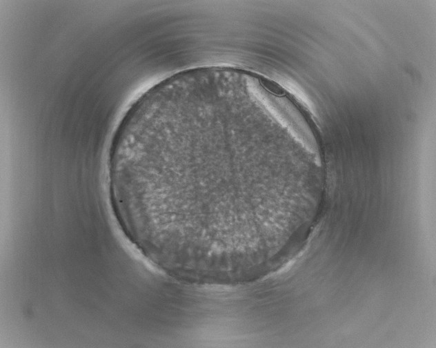 X0000115321088200911231345