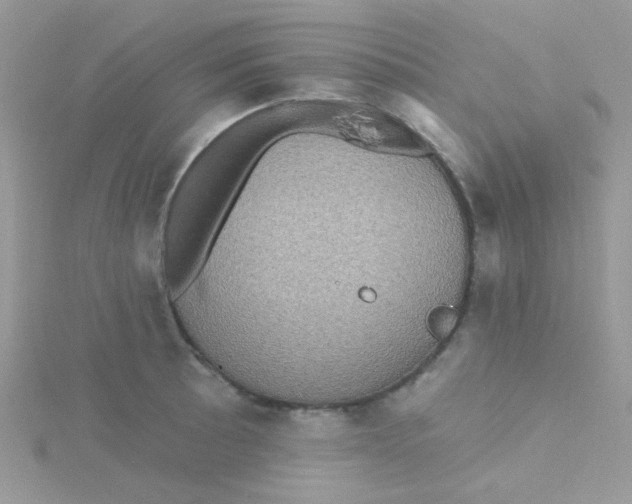 X0000115321089200911231345