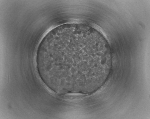 X0000115321091200911231345