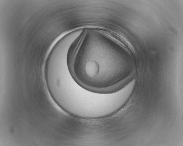 X0000115321092200911231345