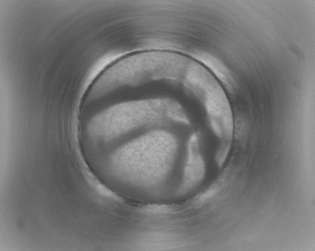 X0000115321094200911231345