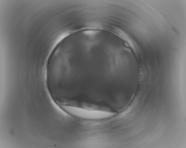 X0000115321095200911231345