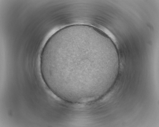 X0000115321096200911231345