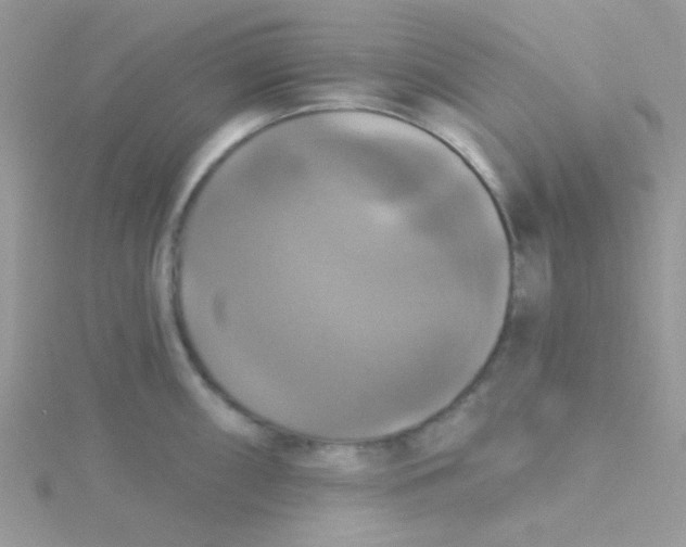 X0000115321098200911231345