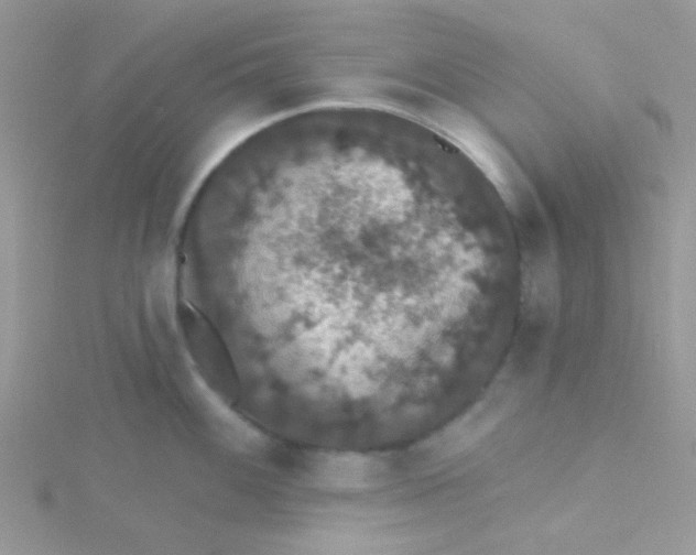 X0000115321100200911231345