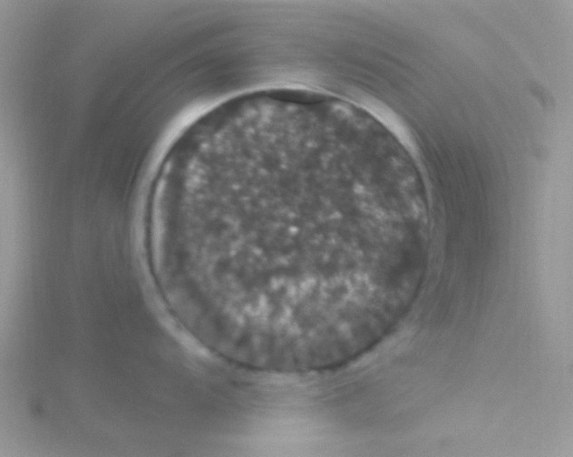 X0000115321104200911231345