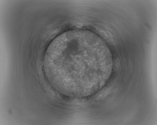 X0000115321105200911231344