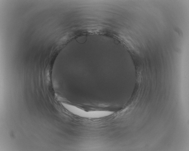 X0000115321106200911231344