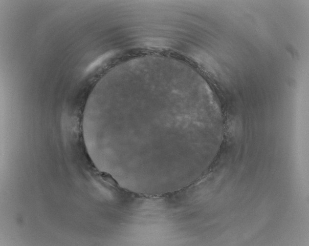 X0000115321110200911231344