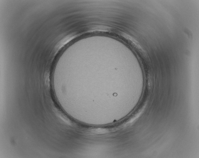 X0000115321113200911231345