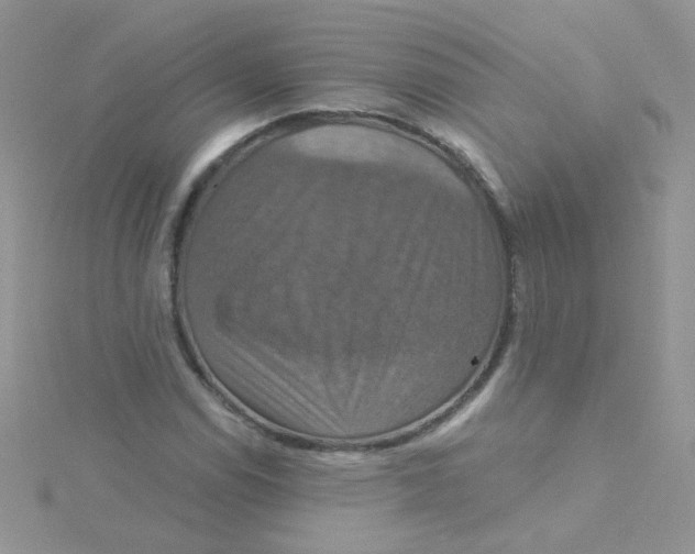 X0000115321114200911231345