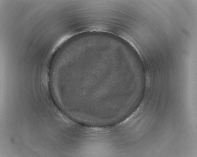 X0000115321115200911231345