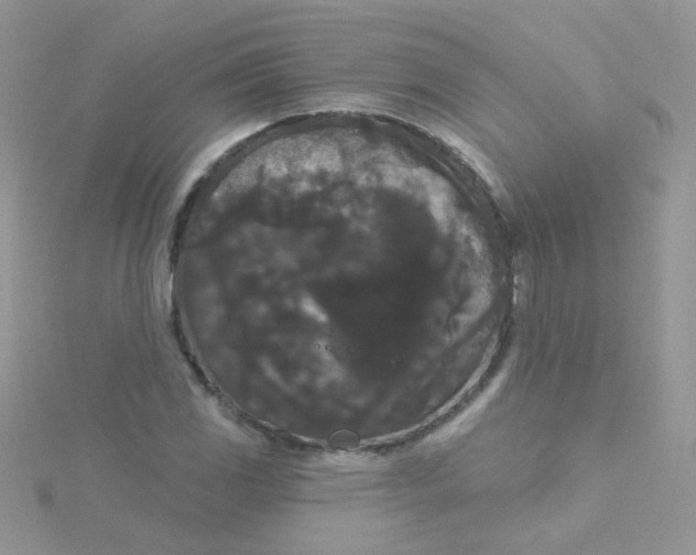 X0000115321117200911231345