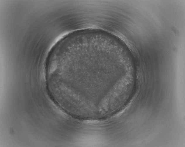 X0000115321118200911231345