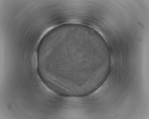 X0000115321123200911231345