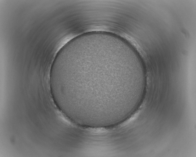 X0000115321129200911231345