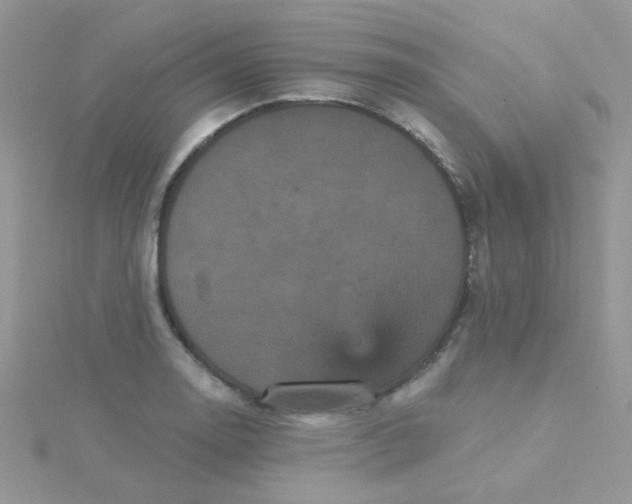 X0000115321130200911231345