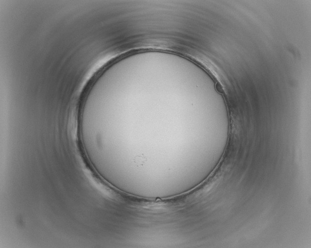 X0000115321131200911231345