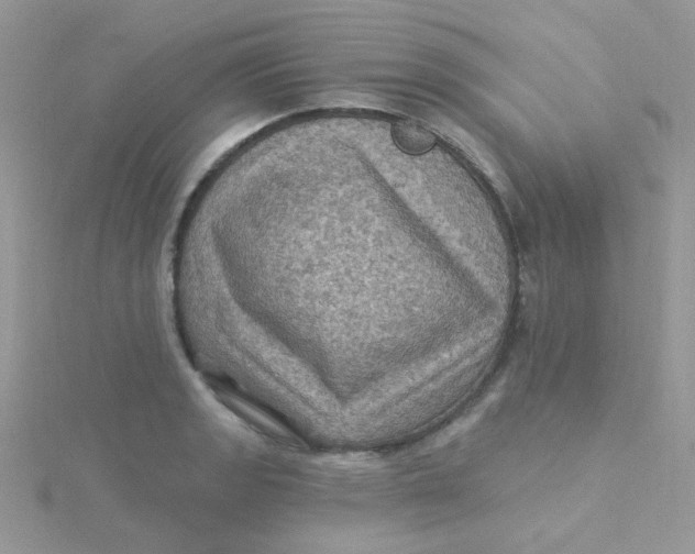 X0000115321133200911231345