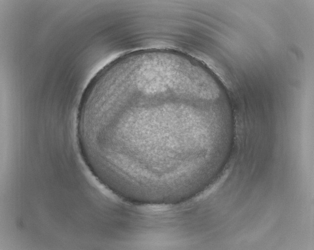 X0000115321134200911231345