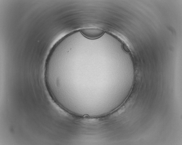 X0000115321135200911231345