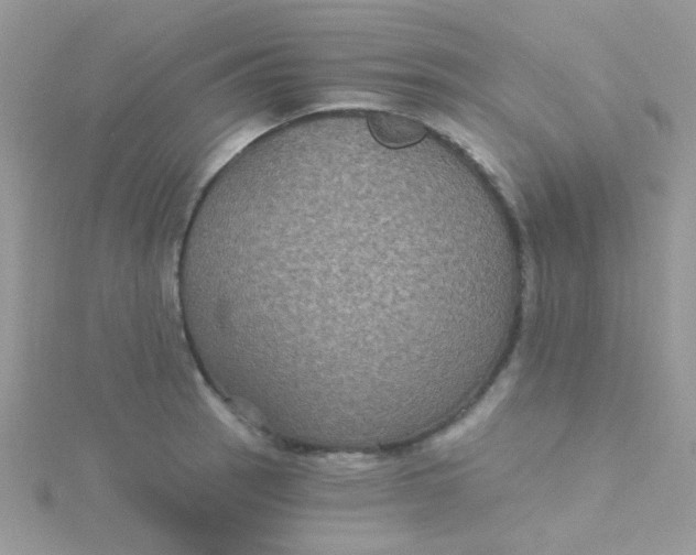 X0000115321137200911231345