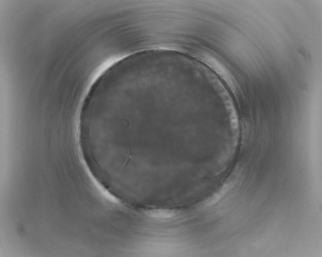 X0000115321141200911231345