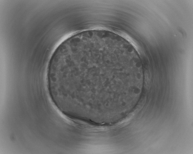 X0000115321142200911231345