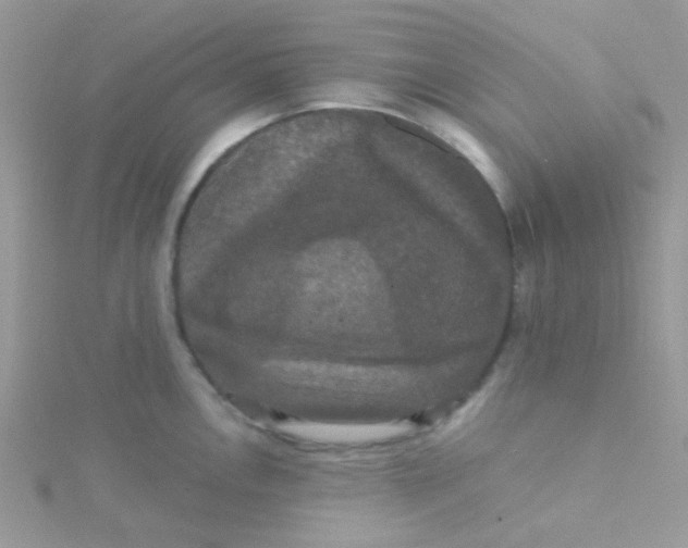 X0000115321146200911231345