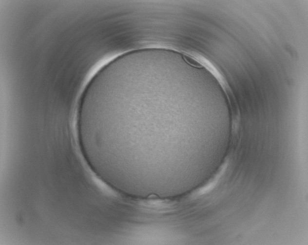 X0000115321149200911231345