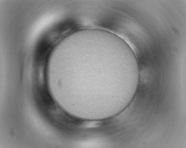 X0000115321150200911231345