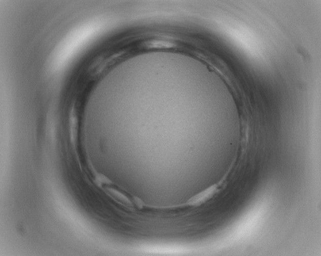 X0000115321151200911231345