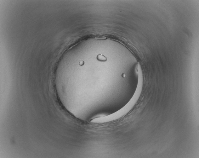 X0000115321153200911231344