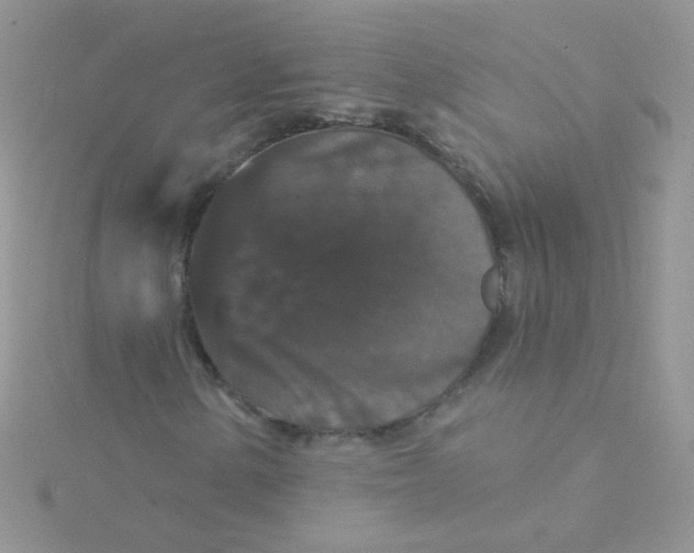 X0000115321154200911231344