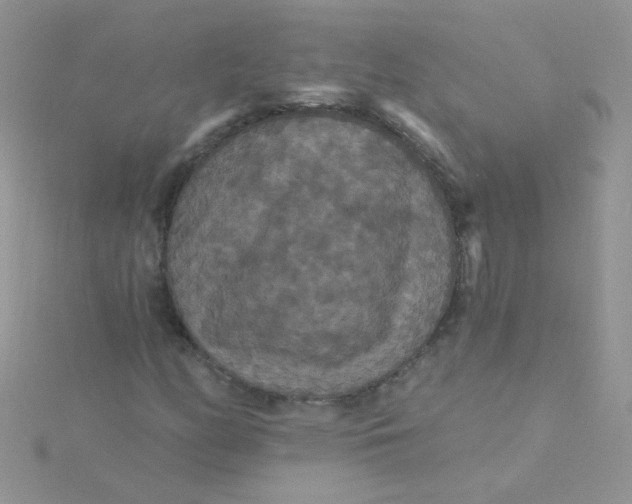 X0000115321158200911231344