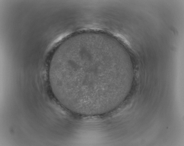 X0000115321159200911231344