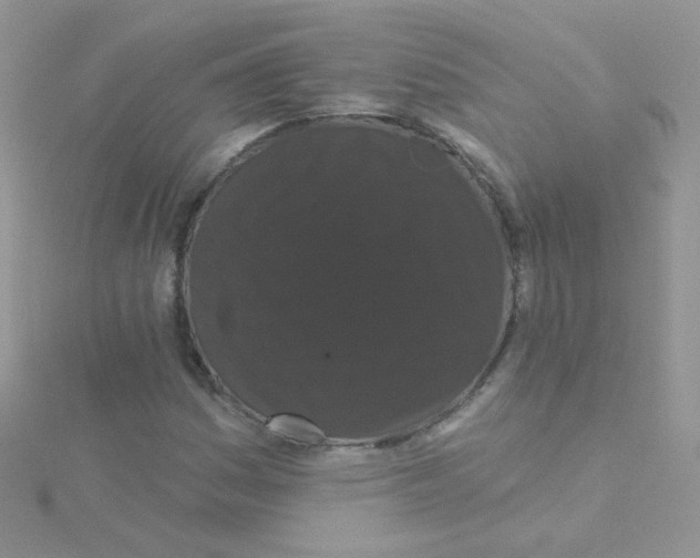 X0000115321161200911231344