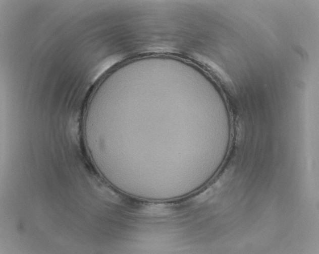 X0000115321162200911231344