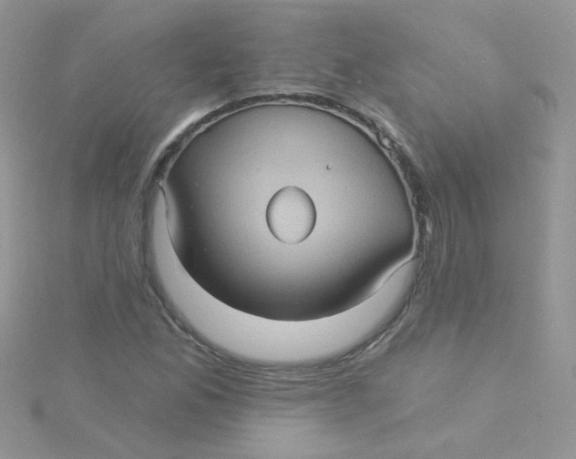 X0000115321165200911231344