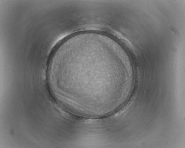 X0000115321166200911231344