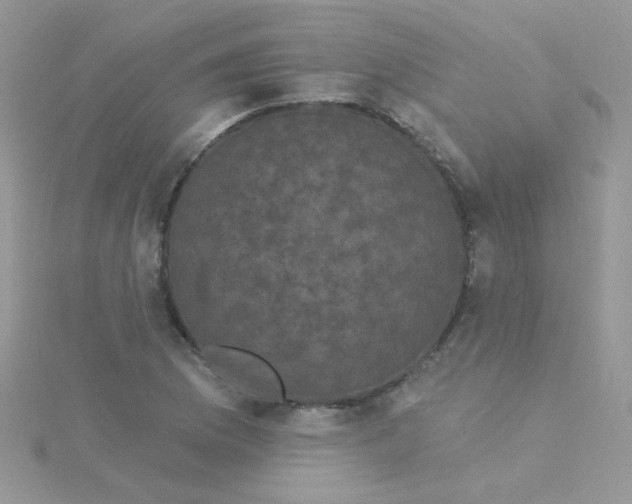 X0000115321169200911231344